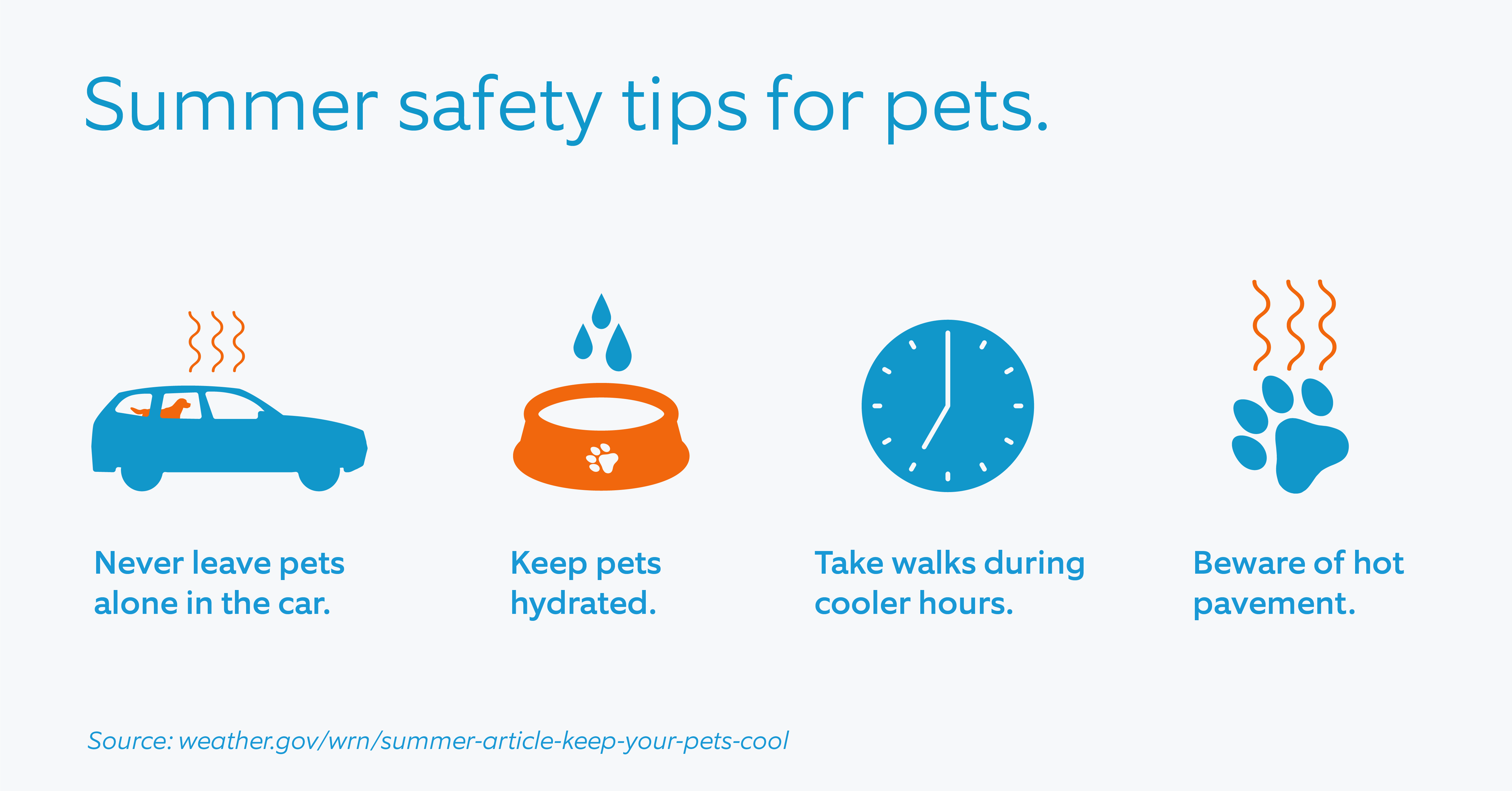Summer_safety_tips_for_pets.png