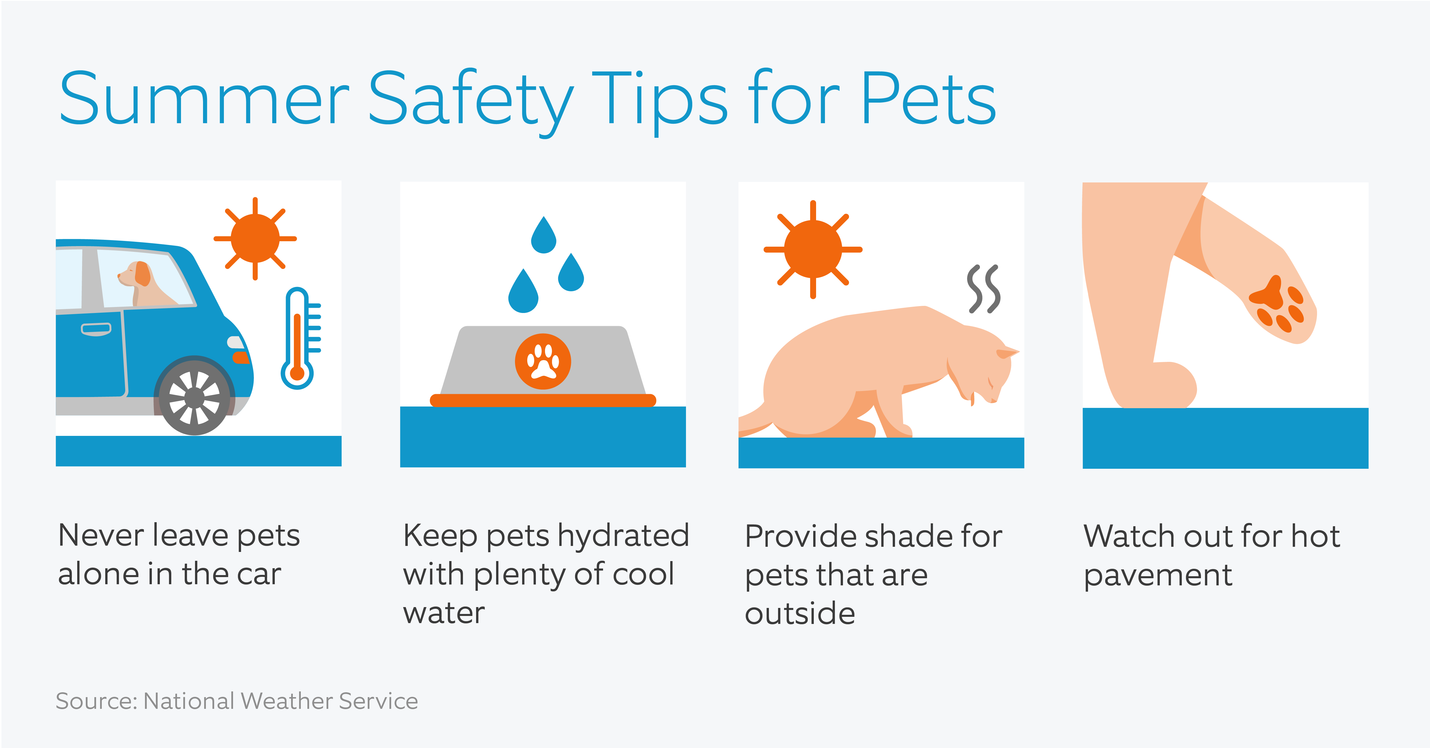 Summer_Safety_Pets.png